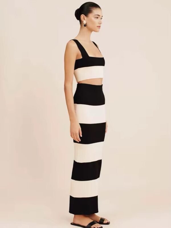 Set Zebra - Imagen 4